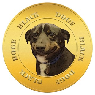 BlackDoge | Main chat