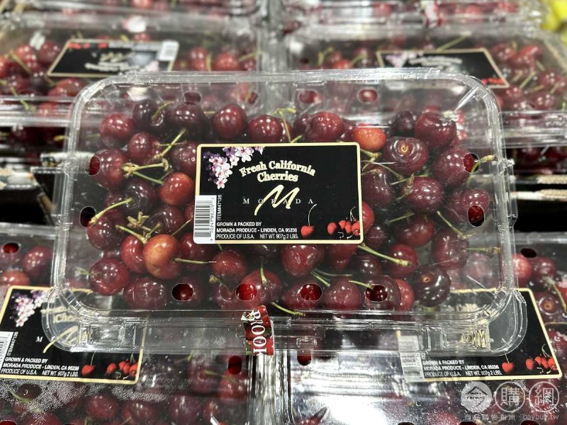 新品完整情報 