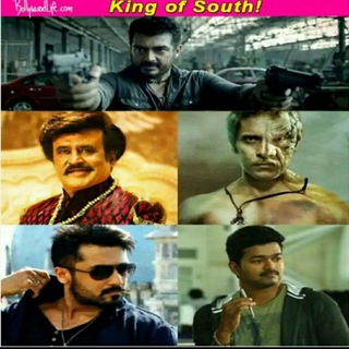 WORLD SOUTH MOVIES COLLECTIONS 🌟📽🎞 Telegram Group Link