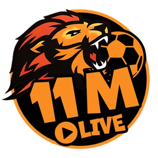 11mLive KM