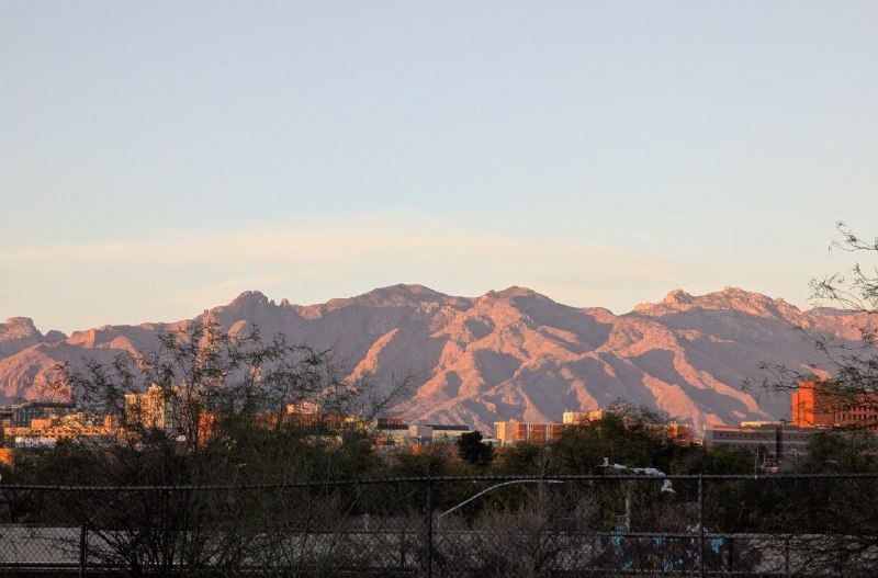 Mission Day Tucson Sonoran 沙漠深處滿山的巨人柱，最具標誌性的 Arizona 景觀