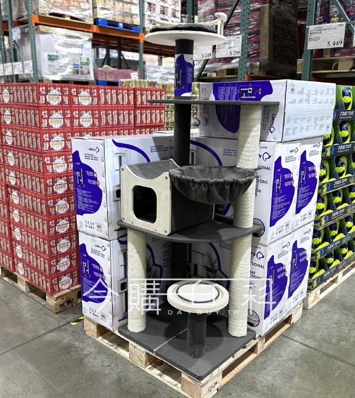 新品情報看這裡 