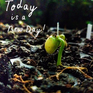 Tips n Trick Photography Telegram Group Link