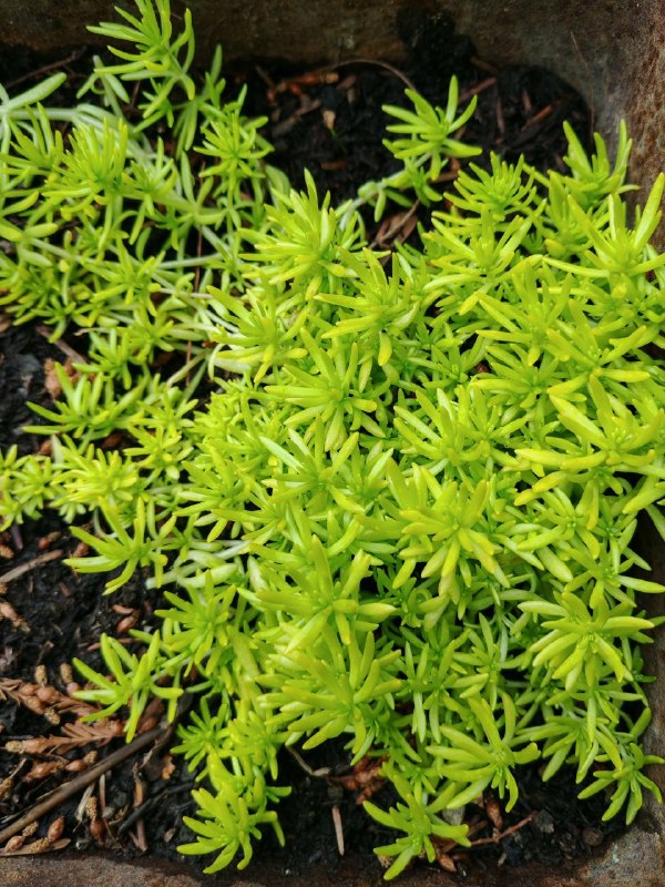 智能养虾火了？我看了9个案例，发现这事挺有意思最近刷到一个数据，说60%的养殖户还在凭经验“乱养虾”