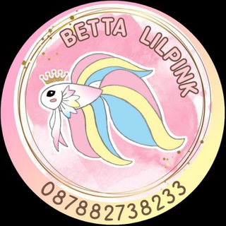 BETTA LILPINK Holic❤️