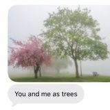 Derecy