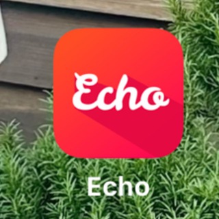 Vava/Echo 10-12$ TỰ RÚT