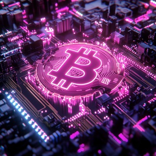 Crypto X • Georgia