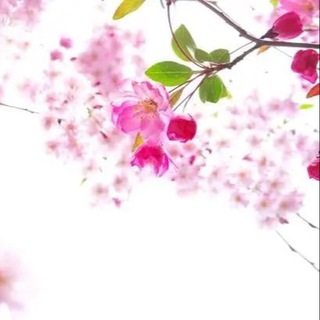 Telegram profile photo for 🍉吃瓜头条《新闻|搞笑|爆料》