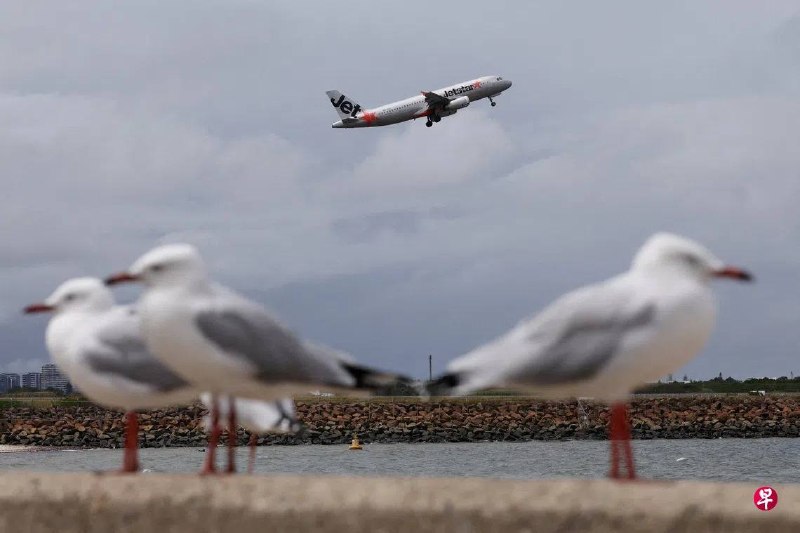 澳洲航空旗下的廉价航空捷星（Jetstar）宣布，从明年2月起调整手提行李政策，乘客若要将较大的随身行李存放在头顶行李柜，须额外付费。