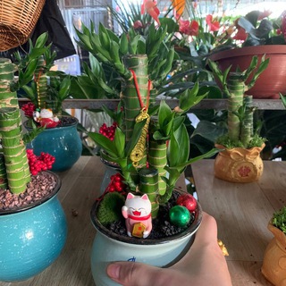 SIÊU THỊ HỒ BƠI