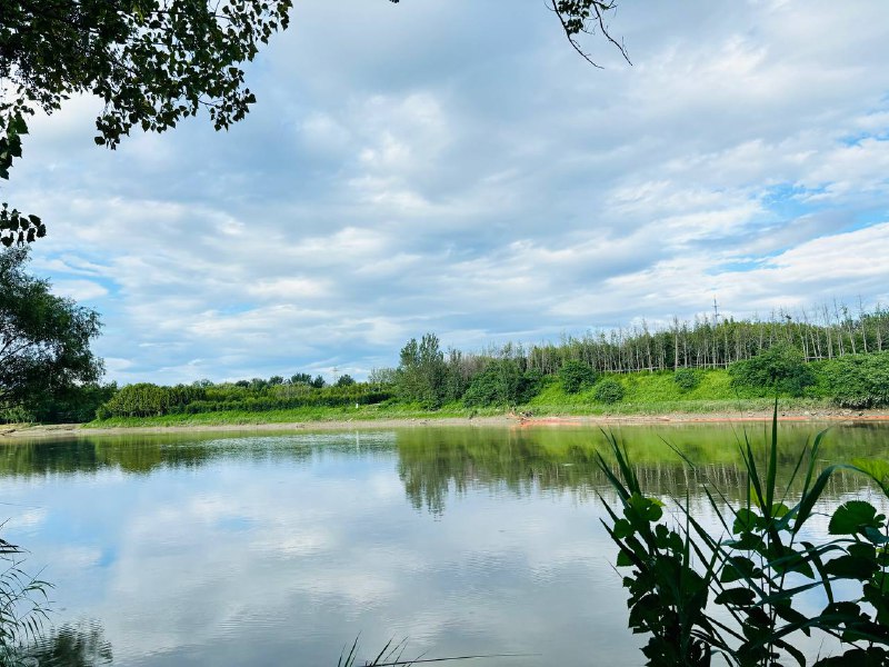 一整天的云，是秋天的那种秋