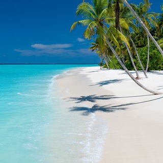 Maldives on a budget Telegram Group Link