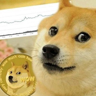 三马哥小助理