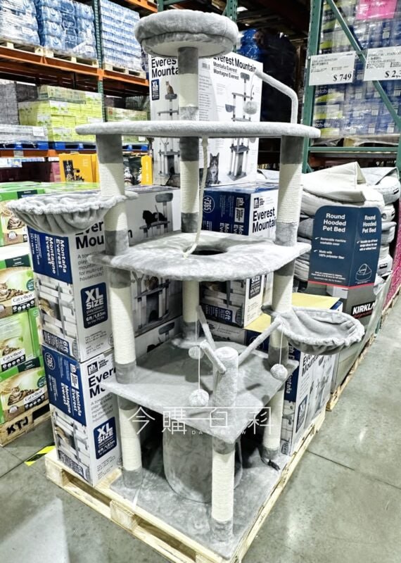 新品情報看這裡 