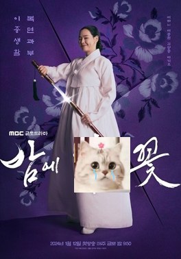 夜晚开的花