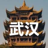 🅥武汉老师车评🅥