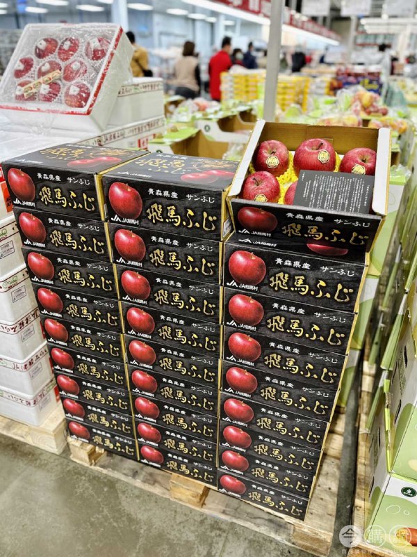 完整情報 