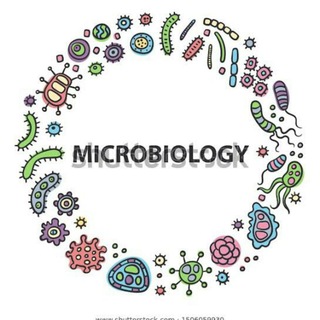 Telegram profile photo for Microbiology