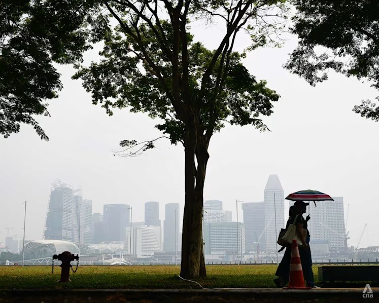 Haze update: Air quality in central Singapore is in the unhealthy range, with a 24-hour PSI reading of 115 at 9am.