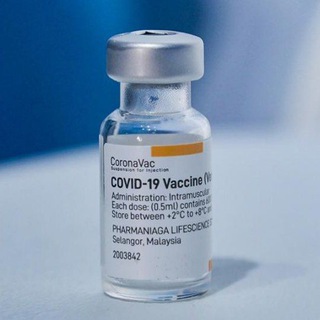 SinoVac Malaysia Telegram Group Link