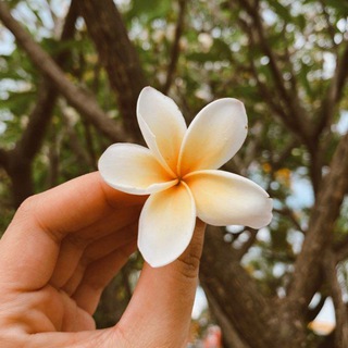 WHATSAPP STATUS LOVER Telegram Group Link