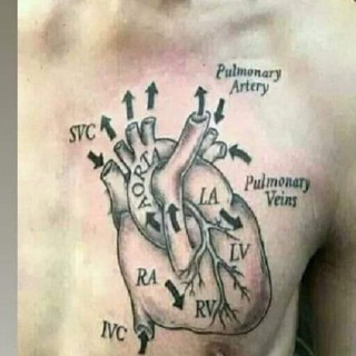 medical_books_nursing_pdf Telegram Group Link