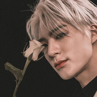 BXB AU (Kpop/Anime/Movie) Telegram Group Link