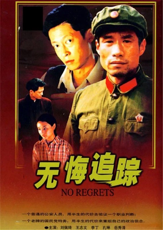 名称：无悔追踪(1996)【20集全】【WEB-4K】【内嵌简中】【悬疑/家庭】