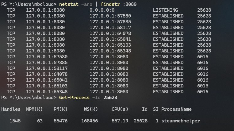 ...？ 什么叫做 steamwebhelper 在 8080 放了一个 DevTools？...？ 什么叫做 steamwebhelper 在 8080 放了一个 DevTools？