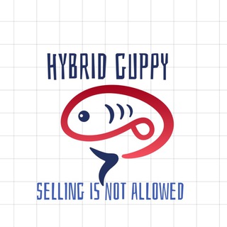 (Discussion) 🐟High Breed Guppy🐟