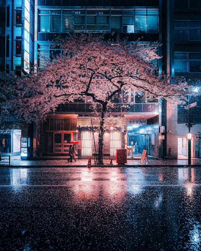 转自 