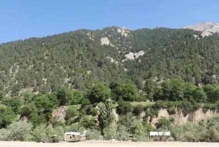 صدای مردم افغانستان: 🔴در نورستان برای مهار قطع غیرقانونی جنگلات، ۹ شورای محلی ایجاد شد.🔺️ مسئولان ریاست زراعت، آبیاری و مالداری نورستان میگو
