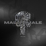 MALEFEMALE