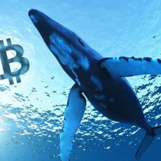 Whales Crypto Guide Telegram Group Link