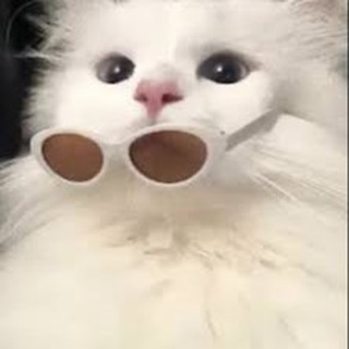 微信租号群