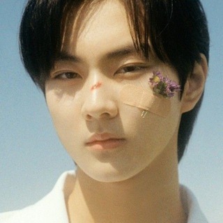 BULK KPOP ALBUMS PHOTOCARDS SUPPLIER || KR TO KR || KR TO PH Telegram Group Link