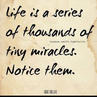 Freelancers Indonesia Telegram Group Link