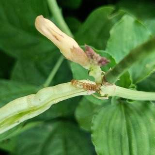 All Agriculture 🍀 Telegram Group Link