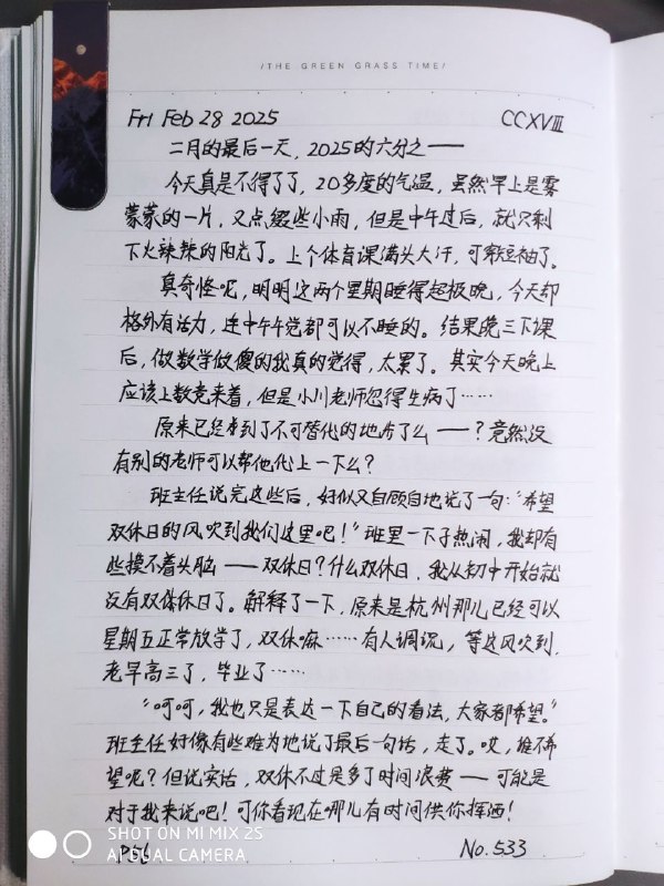 媒体预览