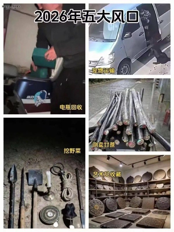 2026五大风口，不要错过