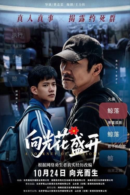 名称：向光花盛开 (2025) 4K HDR