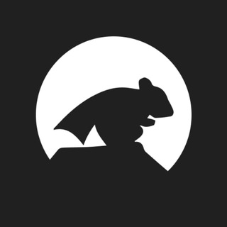 Sqkii's Official Telegram Channel (Singapore) Telegram Group Link