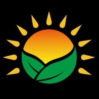 WIN MONEY CLUB Telegram Group Link
