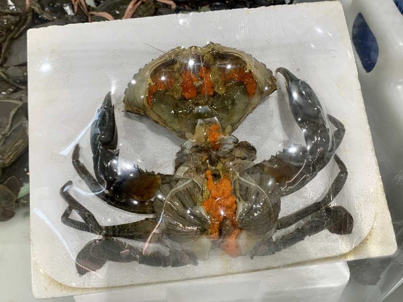 Costco的沙母來囉!! 裡面滿滿的膏，吃起來!!!新商品情報連結 