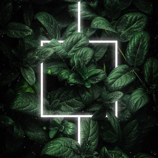 🌼 Status group ( public chat ) 🌼 Telegram Group Link