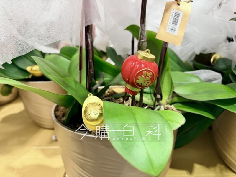 新品情報連結 