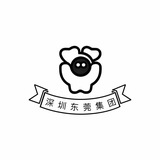 深圳东莞集团报告（仅供参考）