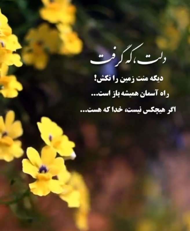 سخنان دلـنشین و زیبا ❤: دلت که گرفت 🕊دیگر منت زمین را نکشراه آسمان باز است 🕊اگر هیچکس نیستخدا که هست . . . 🕊‌‌‌🔜 ⿻ @marenmkl ⿻┗━❖♥️⃟🌼❖━━ 💎💜