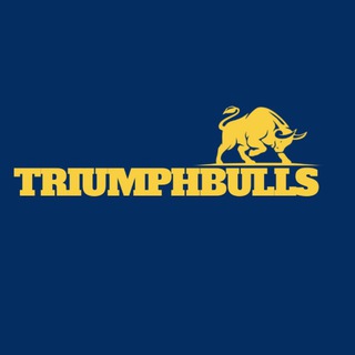 Telegram profile photo for TriumphBulls Research